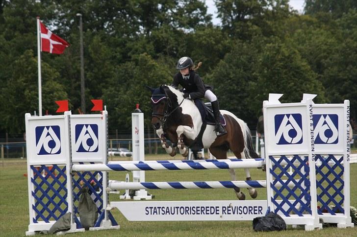 Anden særlig race Royal Rubin billede 16