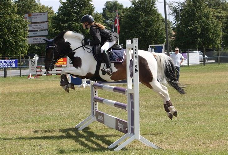 Anden særlig race Royal Rubin billede 18