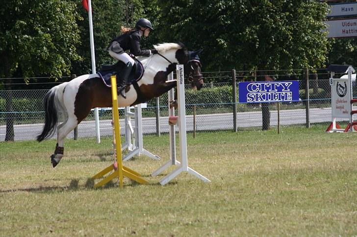 Anden særlig race Royal Rubin billede 19