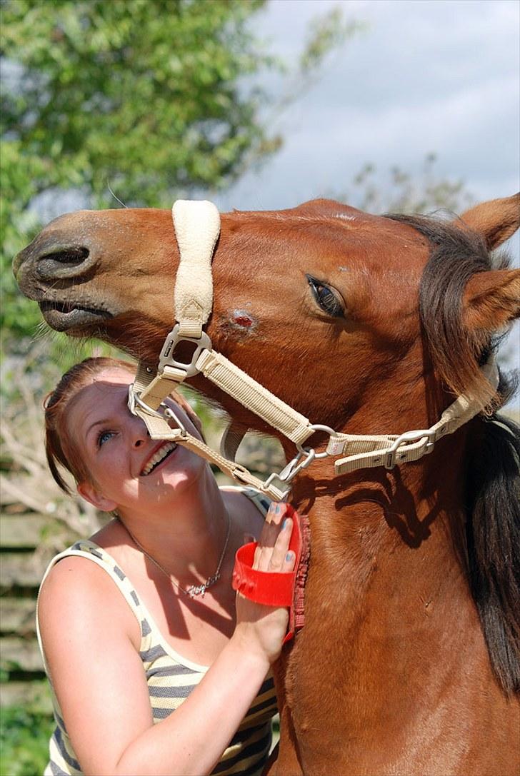 Anden særlig race Magic Fever - Taget af Chaos.. billede 11