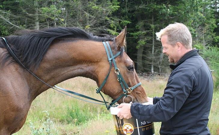Traver zonny - karmdal ridtet 2010 billede 9