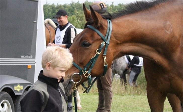 Traver zonny - karmdalridtet 2010 billede 10