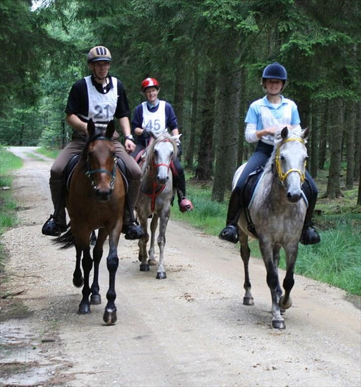 Traver zonny - karmdalridtet 2010 billede 11