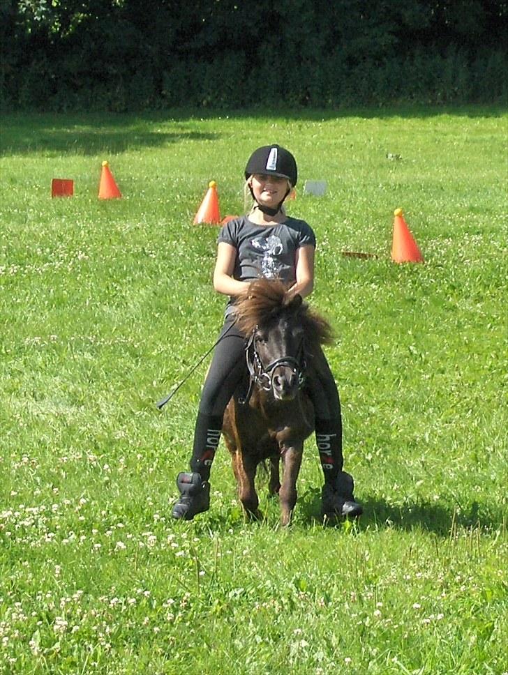 Shetlænder speedy - jeg rider på speedy i sommeren 2007 <3 billede 7