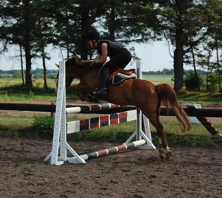 Anden særlig race Pretty Boy  - Spring i sommerferien 2010. 100 cm billede 11