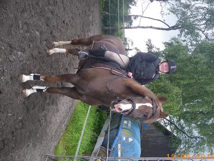 New Forest oregon billede 2