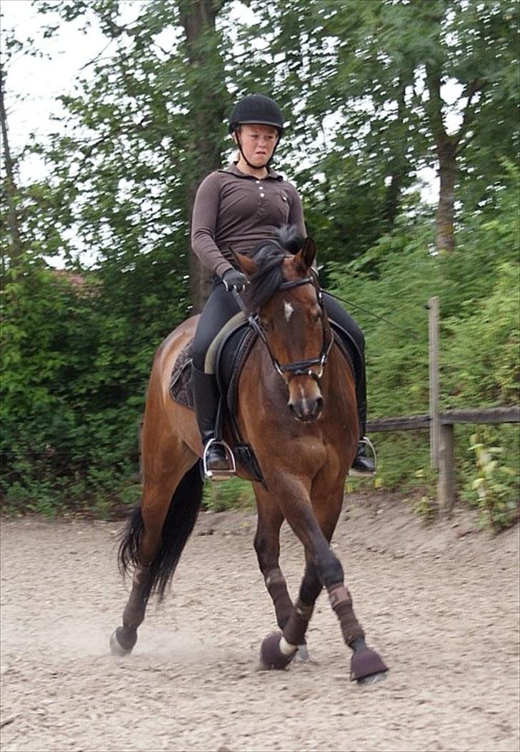 Tysk Sportspony Dolce *B-pony* Solgt :'( - Min lille guldklump, jeg elsker dig. :´( - Made by Cecilie Rasmussen :D billede 16