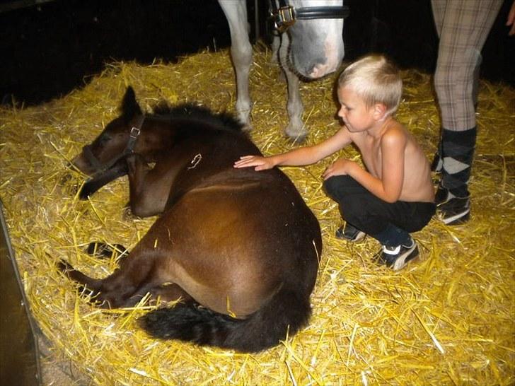 Connemara Haahr's Master Yoda billede 2