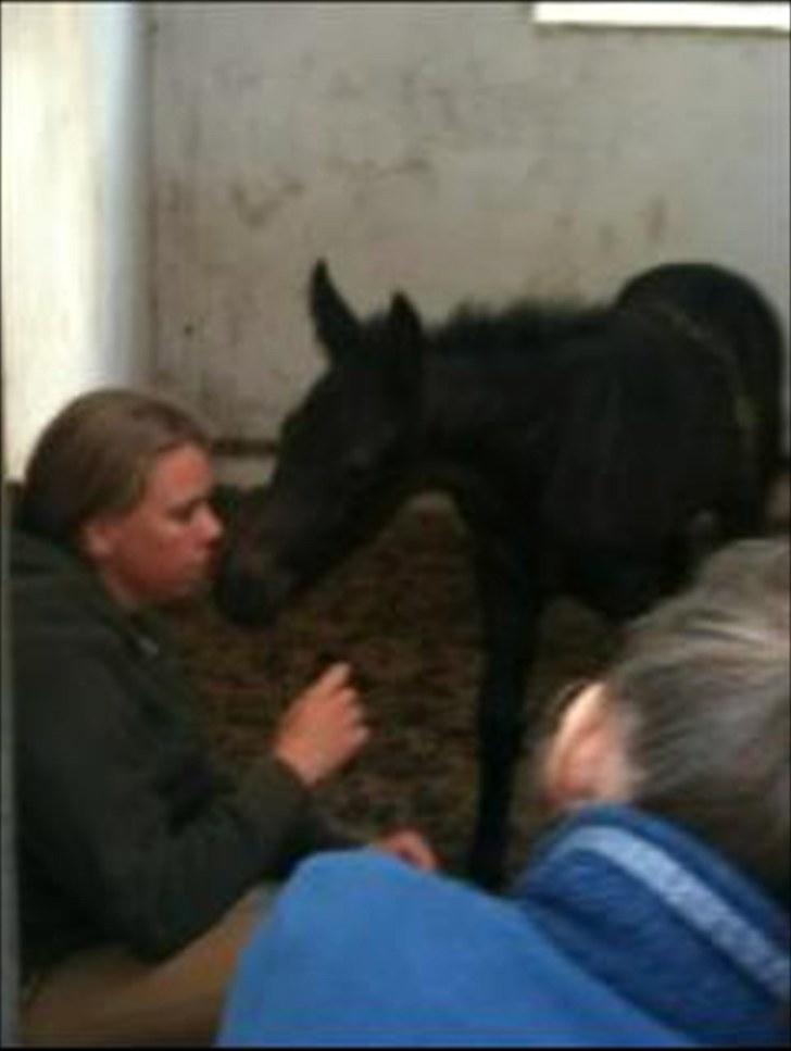 Connemara Haahr's Master Yoda billede 6