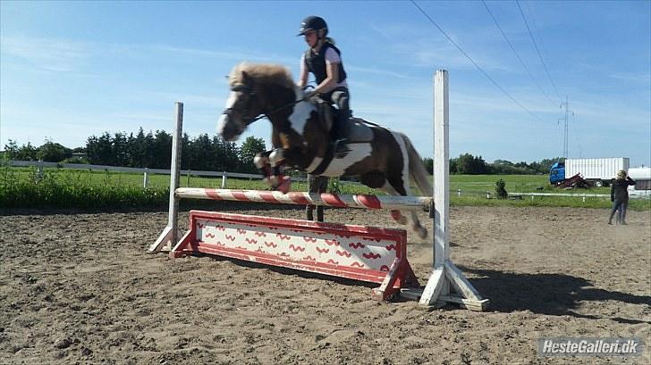 Anden særlig race Dolly (: Red!  - ´(; .... billede 11