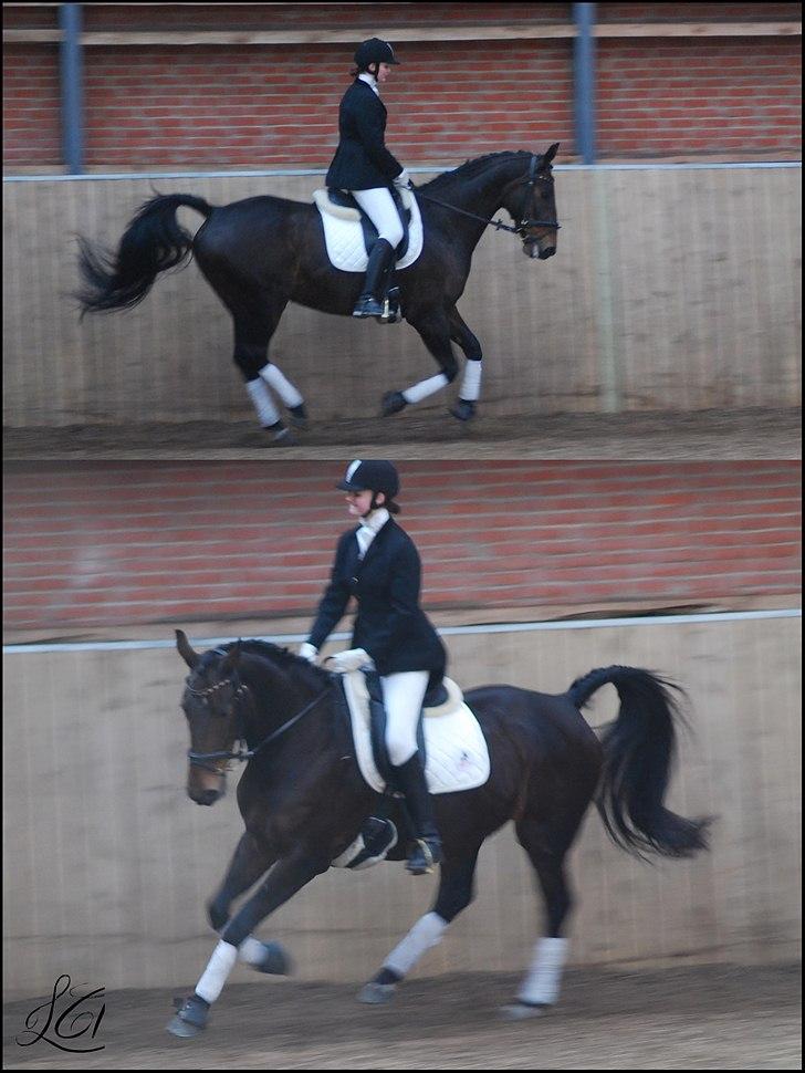 Dansk Varmblod Chanelli *RIP* - Galop i LC1 til vores første stævne 09.04.11 | Fotograf: Kim Pedersen billede 6