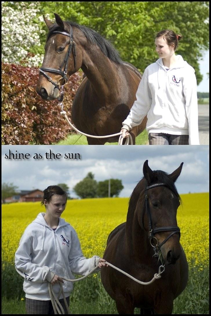 Dansk Varmblod Chanelli *RIP* - Gåtur (første fase af genoptræning) 29.05.10 | Fotograf: Emilie Mattsson billede 3