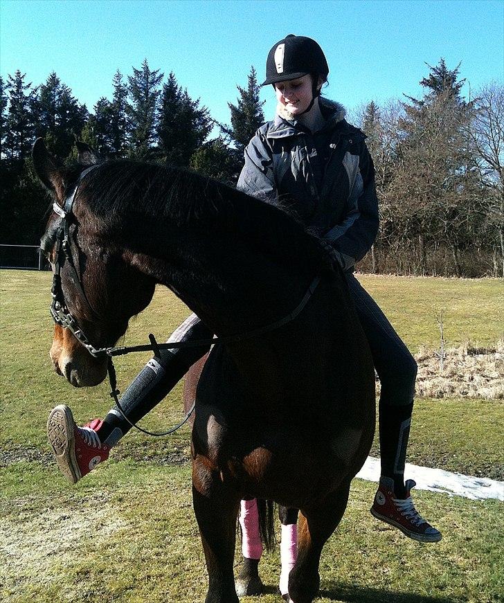 Dansk Varmblod Chanelli *RIP* - 2. gang jeg rider hende efter jeg brækkede anklen, første gang i naturen uden sadel. Hun tog det bare så fint og var en engel! 06.03.11 | Fotograf: Josefine Thorup Laursen billede 10