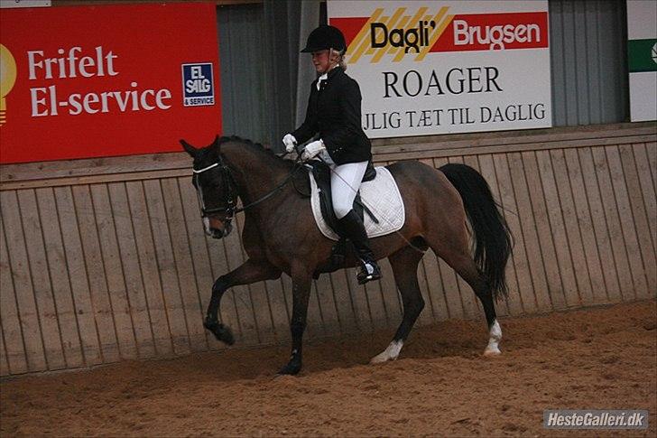 Anden særlig race Angel <3 - stævne i roager. den dejligste galop :-)! billede 18