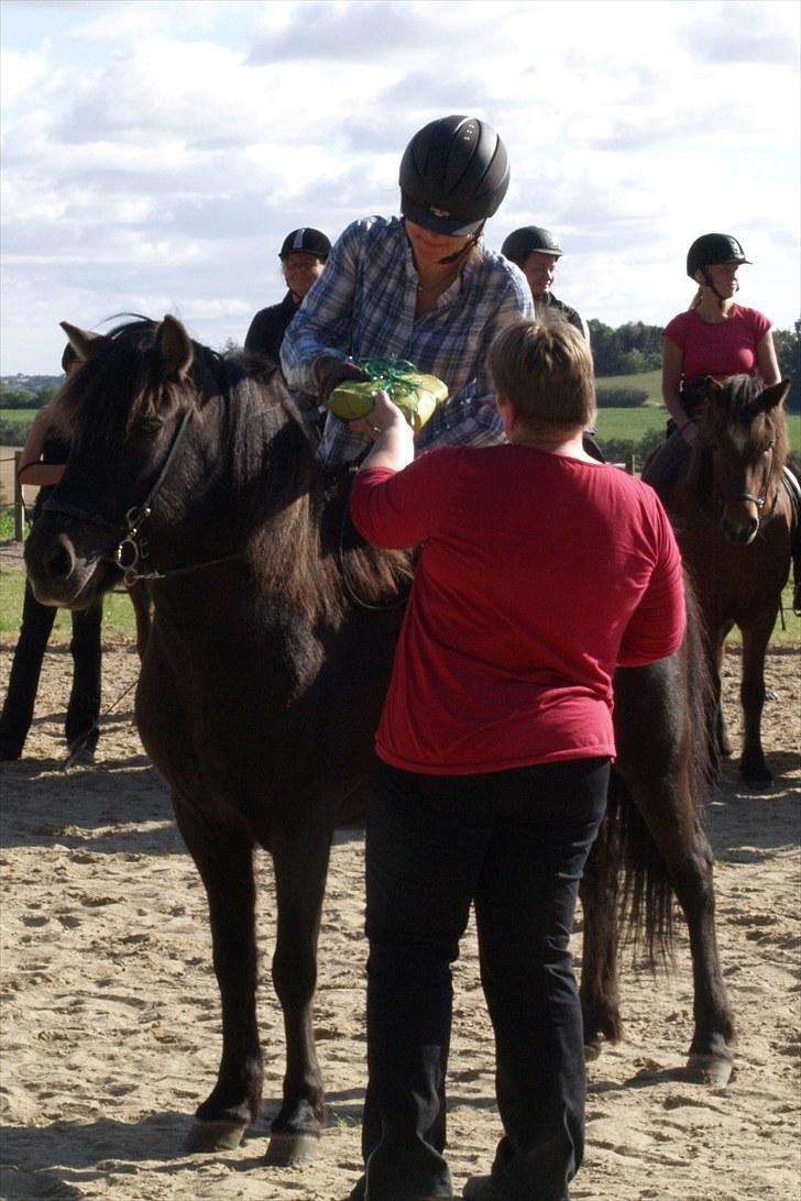 Islænder Katla fra Kastaniely - Orelundstævne september 2009   Foto: Anette Henner billede 10