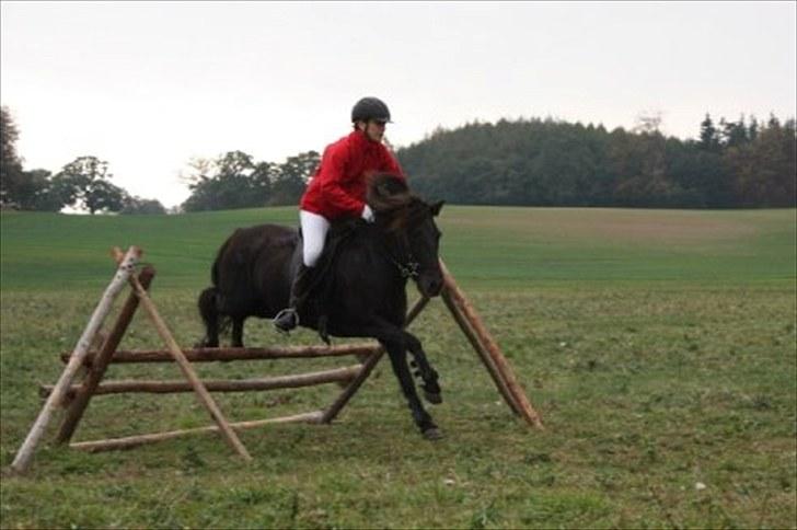 Islænder Katla fra Kastaniely - Hubertusjagt 2009, Langelands Hestesport billede 11