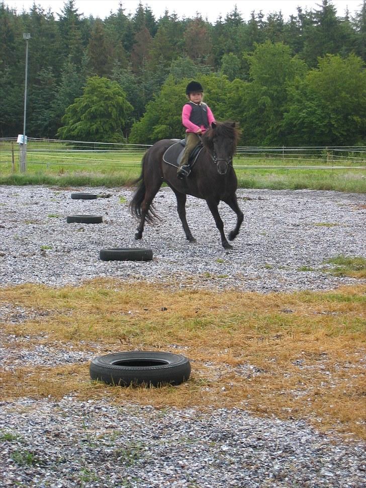 Islænder Katla fra Kastaniely - Ridelejr i Silkeborg juli 2007 billede 15