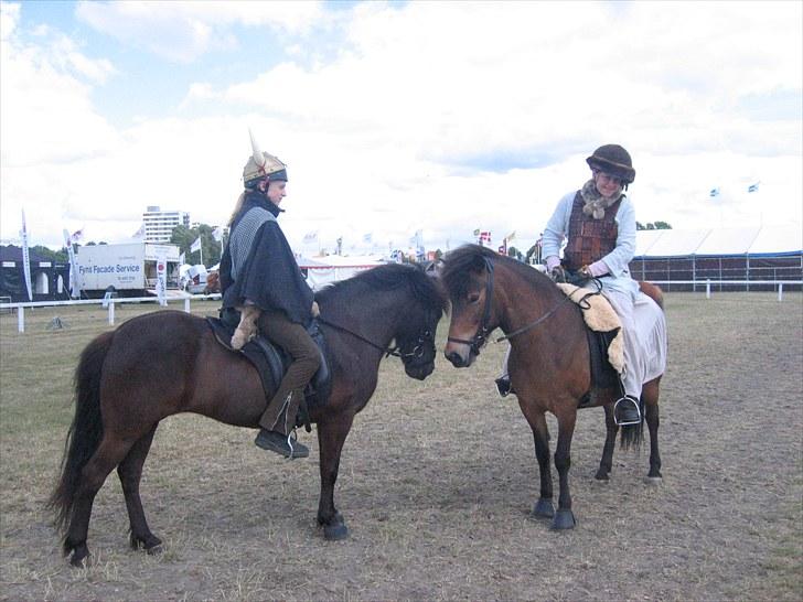 Islænder Katla fra Kastaniely - Heste Galla - Det Fynske Dyrskue juni 2008 billede 16