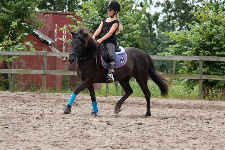 Islænder Katla fra Kastaniely - Ridelejr hos Anne Forsberg Juli 2010   Foto: LS-Foto billede 19