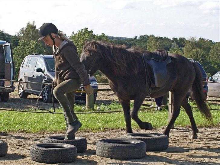 Islænder Katla fra Kastaniely - Orelundstævne september 2008   Foto: Anette Henner billede 20