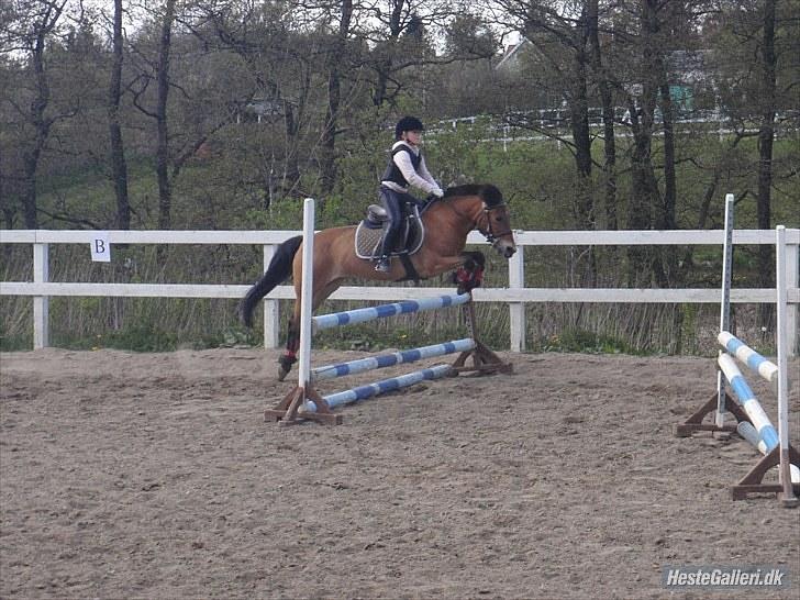 Anden særlig race Dolly Girl <3 billede 19