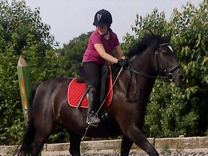 Oldenborg Gipsy - En af de første gange jeg nogensinde sprang med hende;) billede 3