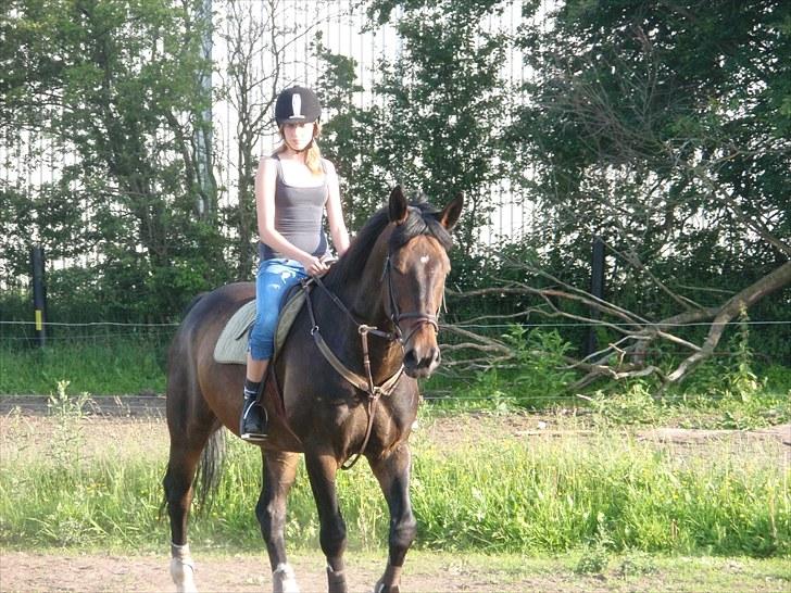 Anden særlig race Ronja - savnes )-'; - Lækker hest! billede 17