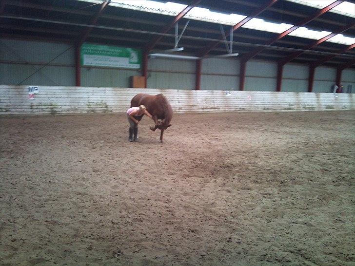 Anden særlig race Branco.  - velkommen til Branco`s profil smid gerne en kommentar + bedømmelse :)
 billede 1