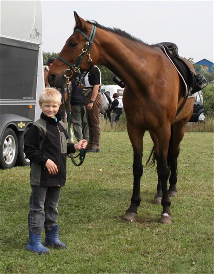 Traver zonny - karmdalridtet 2010 billede 12