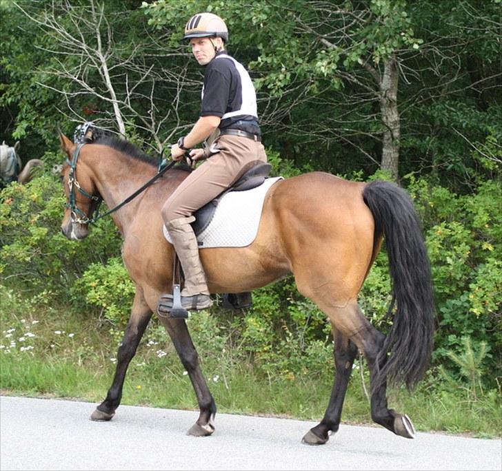 Traver zonny - karmdalridtet 2010 billede 13