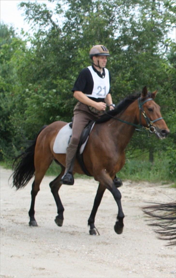 Traver zonny - karmdalridtet 2010 billede 14