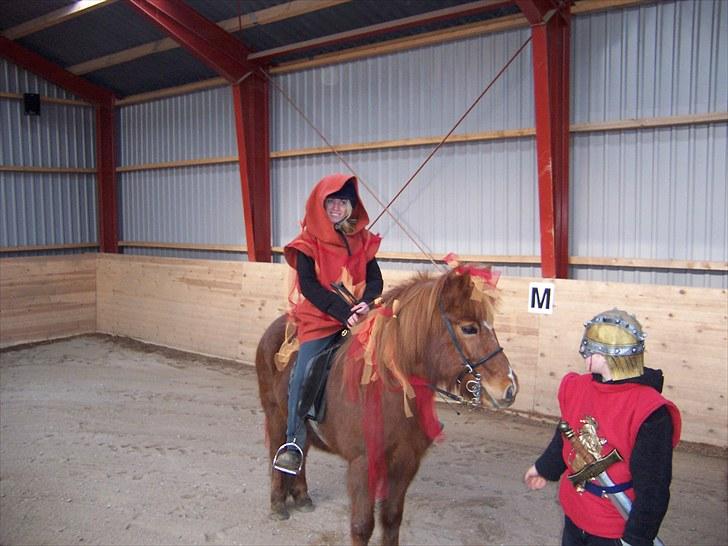 Islænder Askja fra Spillehuset R.I.P - #10 nyt. billede 10