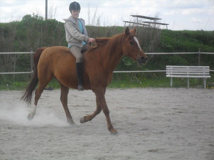 DSP /Araber Kasmir Min drøm<3 - you are my soulmate my one an only<3  i will always love you beautyfull<3 billede 15