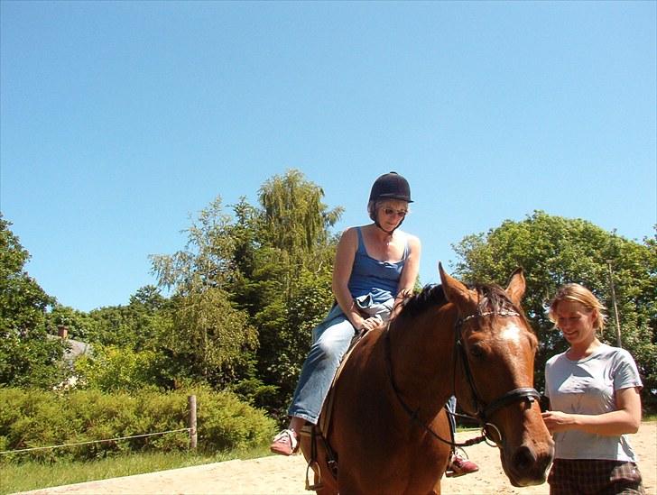 Dansk Varmblod Apollo *RIP*  - Apollo og min tante der prøver en tur på ham (hun havde ikke prøvet at ride før) billede 8