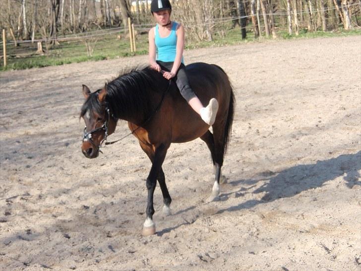 DSP Tovdal's miss DayDream - 3 ~ Mig og Deedee rider meget seriøst! billede 3