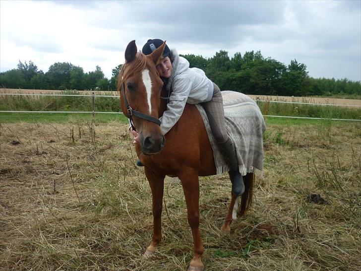 DSP /Araber Kasmir Min drøm<3 - elsker dig<3 billede 16