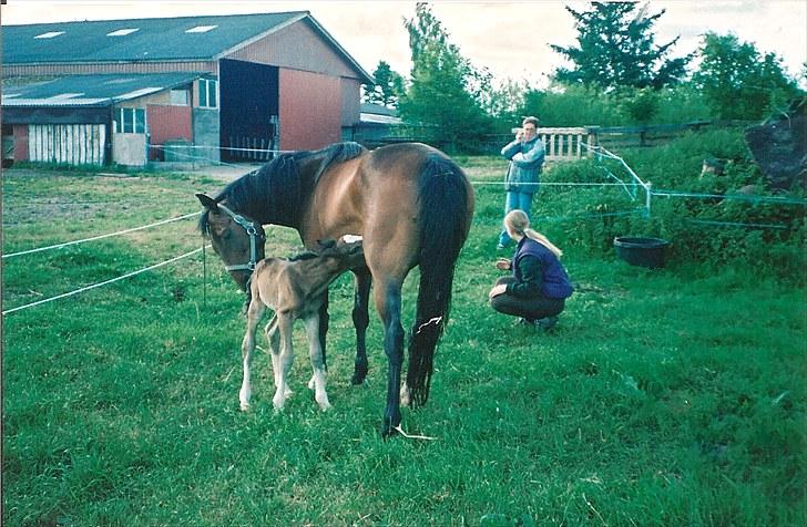 Anden særlig race Hera <3 "Solgt" - Baby Hera og mor Silke på fold  billede 18