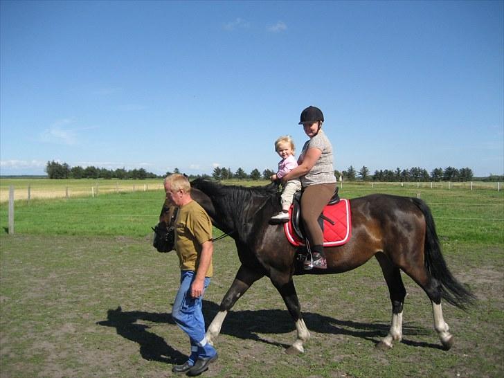 Anden særlig race Hera <3 "Solgt" - Celina får lige en lille ridetur med mor :) billede 19