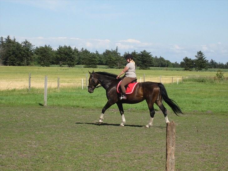 Anden særlig race Hera <3 "Solgt" billede 20