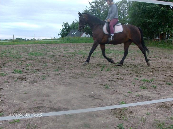 Traver Linda egely *rip* - august 2010 billede 12