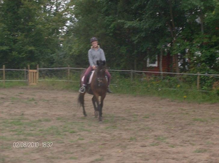 Traver Linda egely *rip* - sille og nelle aug 2010 billede 13