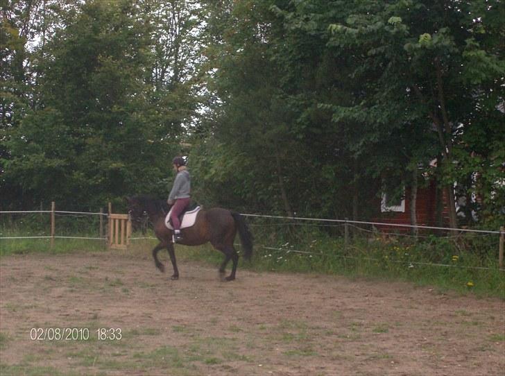 Traver Linda egely *rip* - aug 2010 billede 14