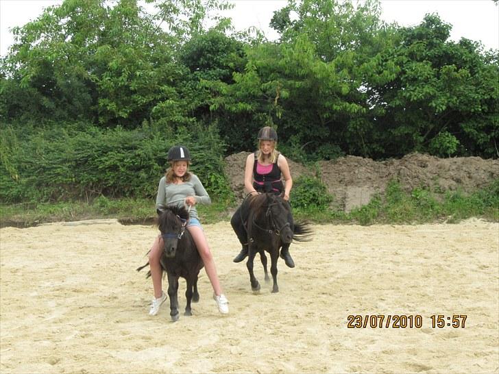 Shetlænder Madonna *Mia* - Mia og Lukas rider sammen. ! :) billede 13