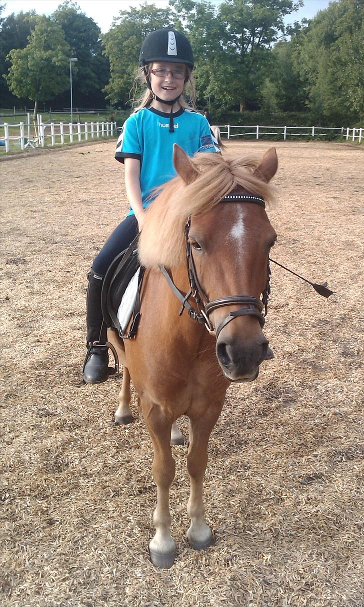 Anden særlig race Otto R.I.P. billede 12