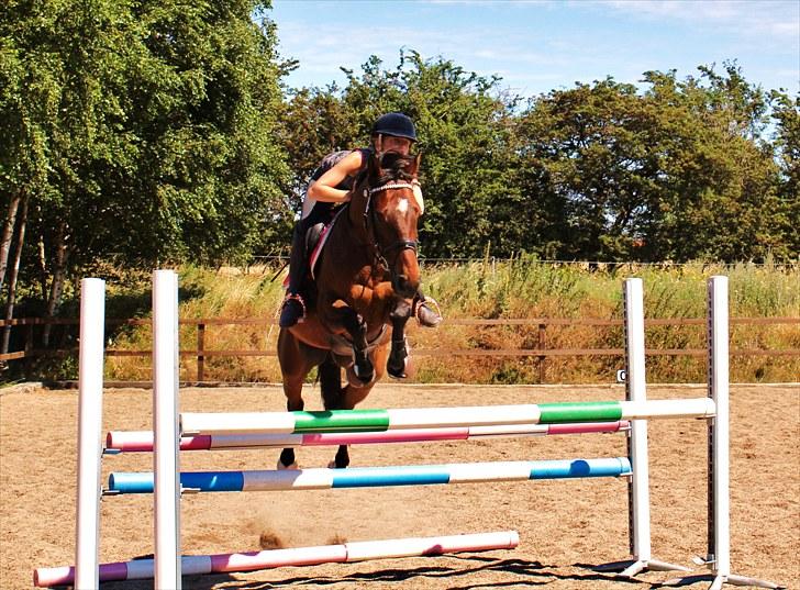 Anden særlig race Time and Patience - jeg hopper 105 cm på dejlige tappy <3 billede 6