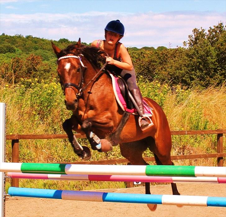 Anden særlig race Time and Patience - igen et dejligt hop på grisen <3  billede 7