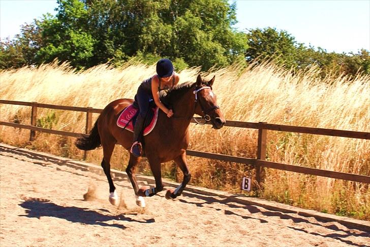 Anden særlig race Time and Patience - vi flyver.. <3  billede 8