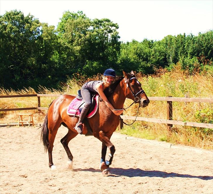 Anden særlig race Time and Patience - dygtig hest ! <3  billede 9