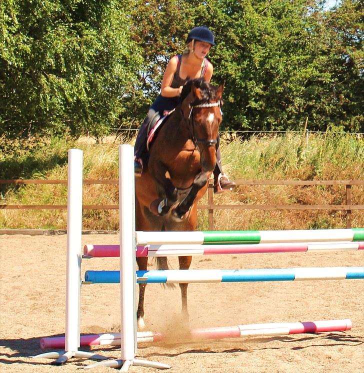 Anden særlig race Time and Patience - hun er skøn billede 13