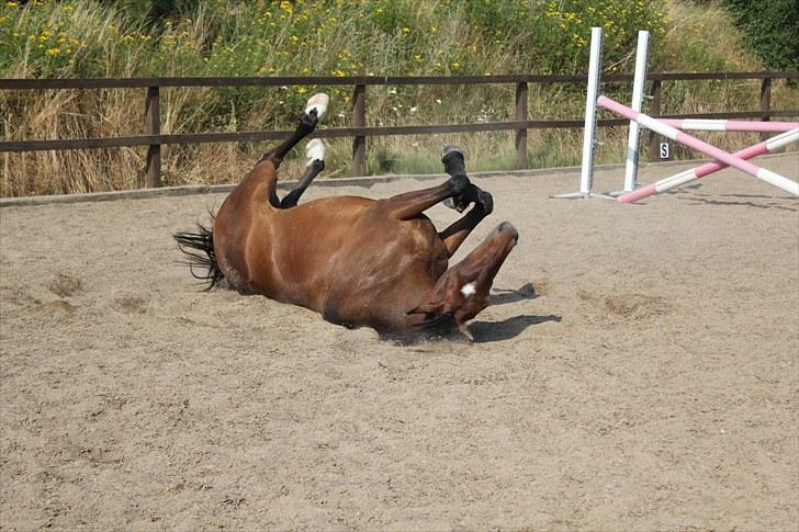 Anden særlig race Time and Patience billede 16